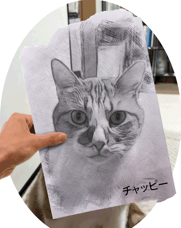 猫の名前がチャッピーの絵を持つ人の画像です。